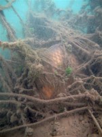 /album/galerie-photos/etang-de-peche-11-jpg/